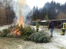 Weihnachtsbäume einsammeln 2017